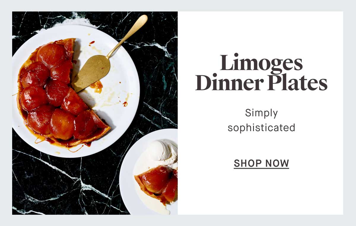 Limoges Dinner Plates Simply sophisticated -- SHOP NOW
