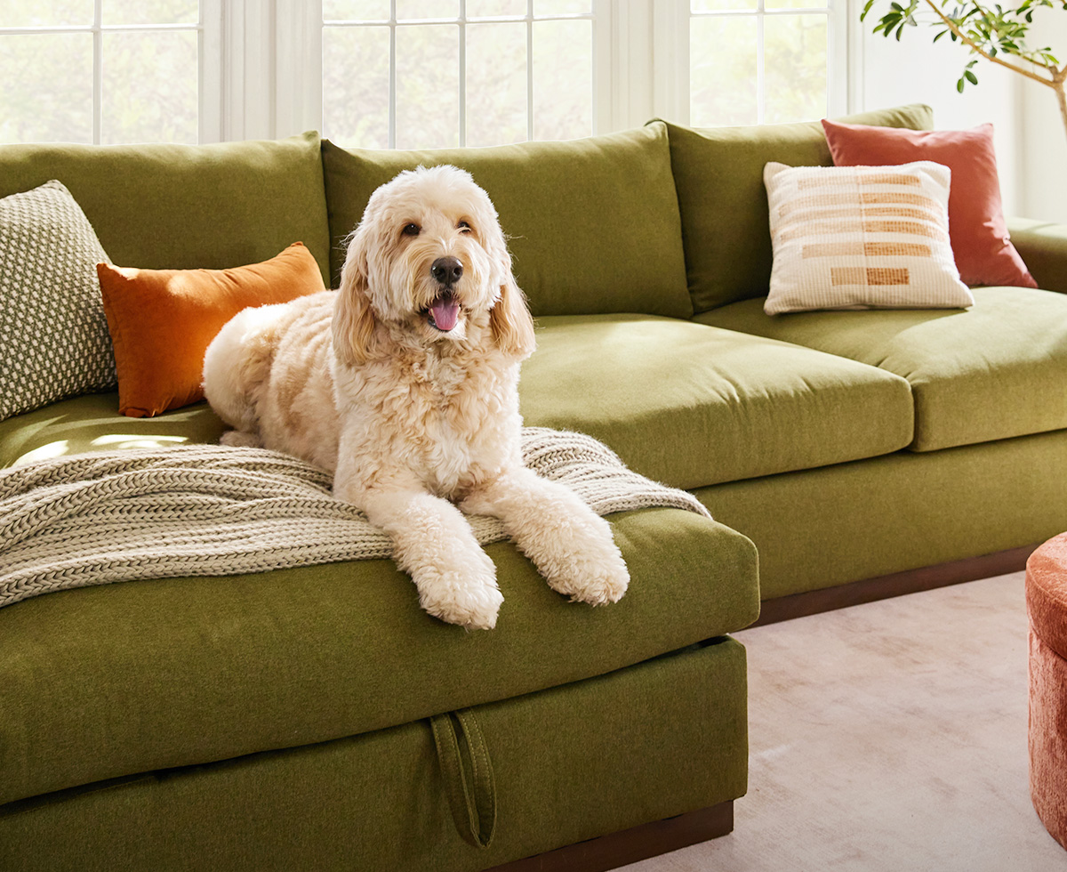 Holt sectional with storage