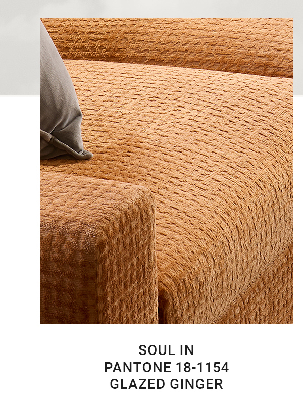 SOUL IN PANTONE 18-1154 GLAZED GINGER