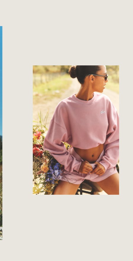 cropped accolade crewneck