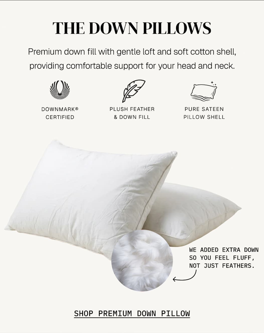 THE DOWN PILLOWS