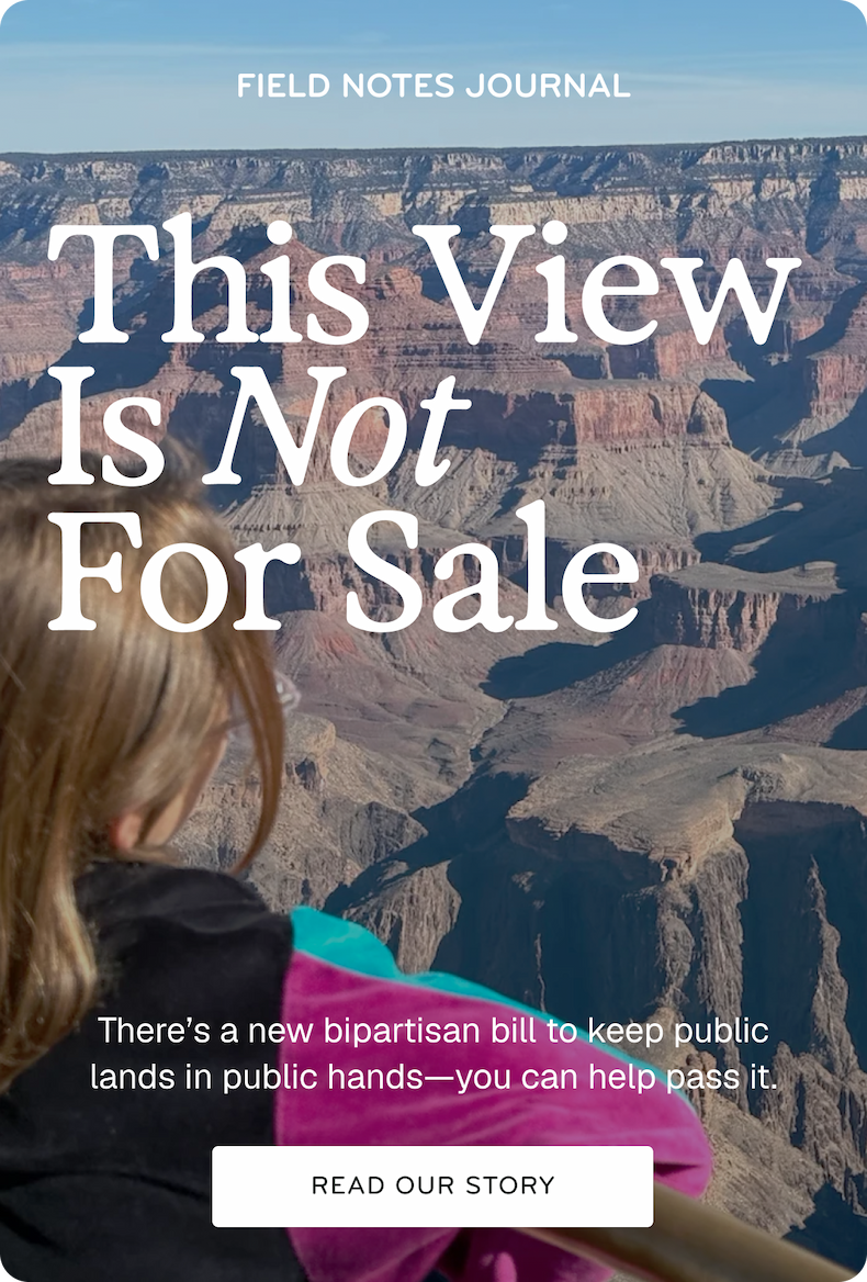 Field Notes: This View is Not For Sale