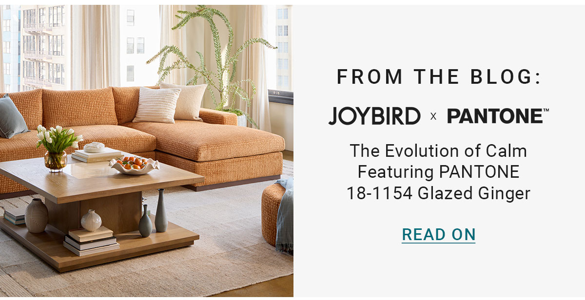 FROM THE BLOG: JOYBIRD × PANTONE™ The Evolution of Calm Featuring PANTONE 18-1154 Glazed Ginger READ ON
