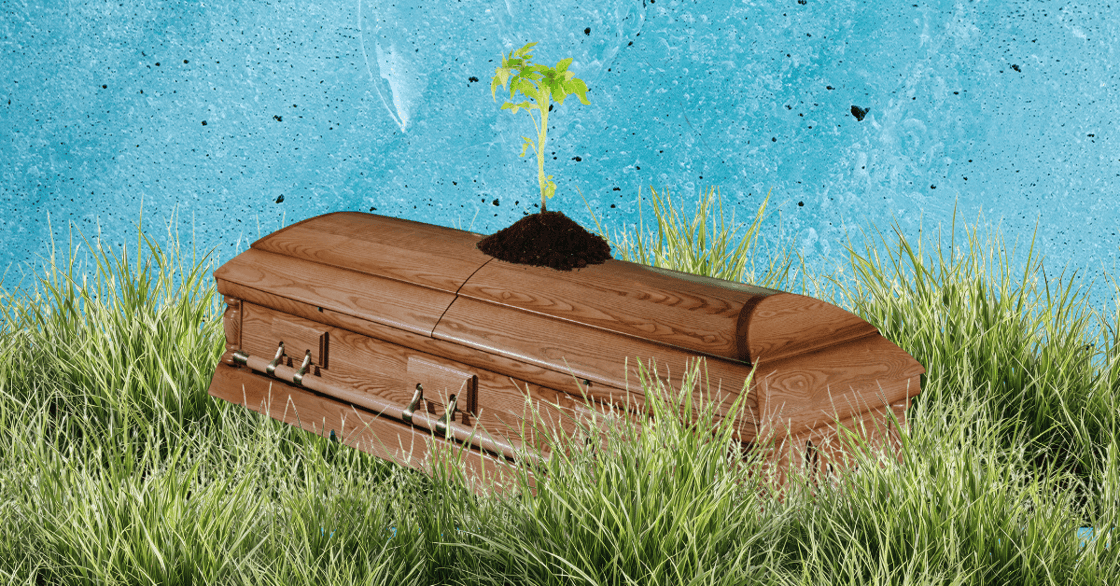 A plant sprouting from a casket. 