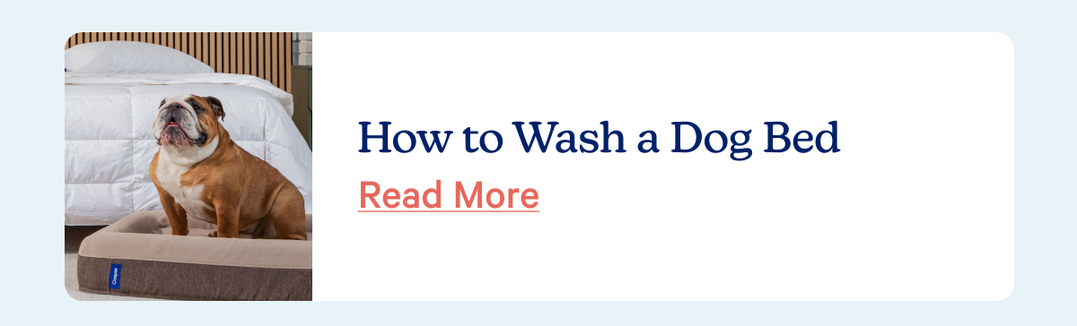 How to wash a dog bed