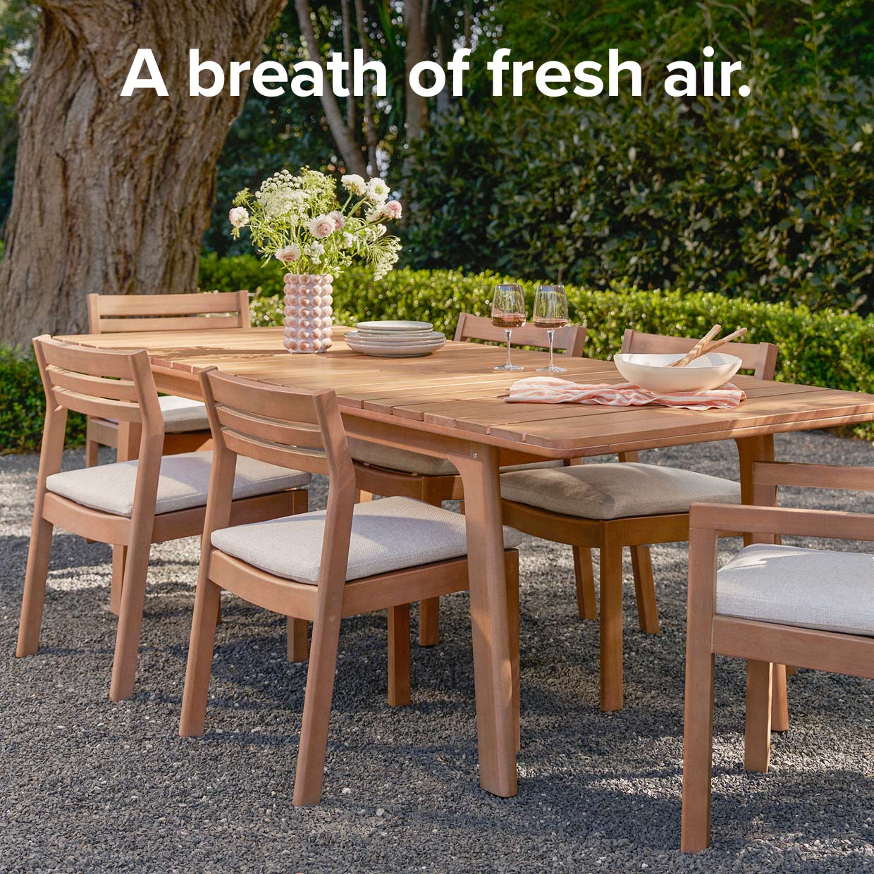 A breath of fresh air.