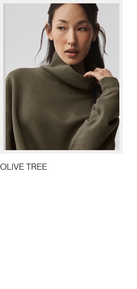 AUTUMN - OLIVE TREE