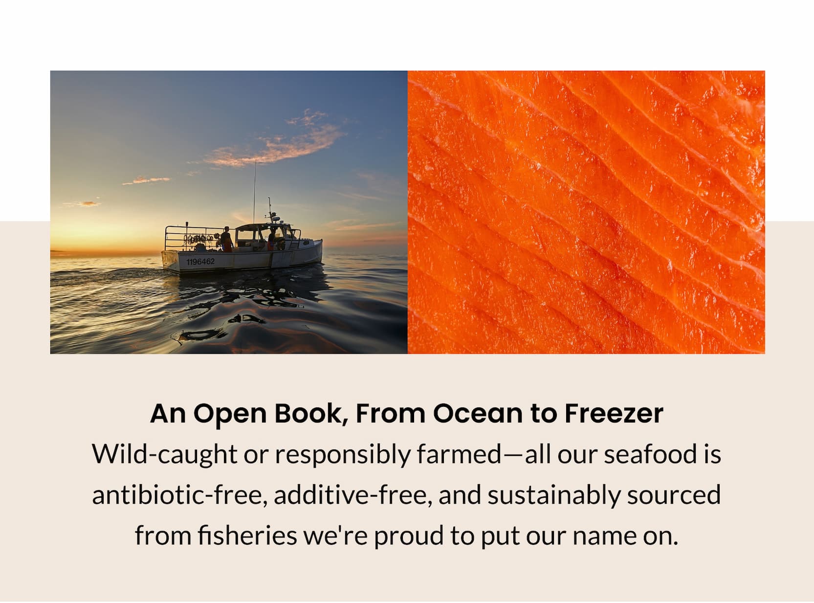 An Open Book, From Ocean to Freezer