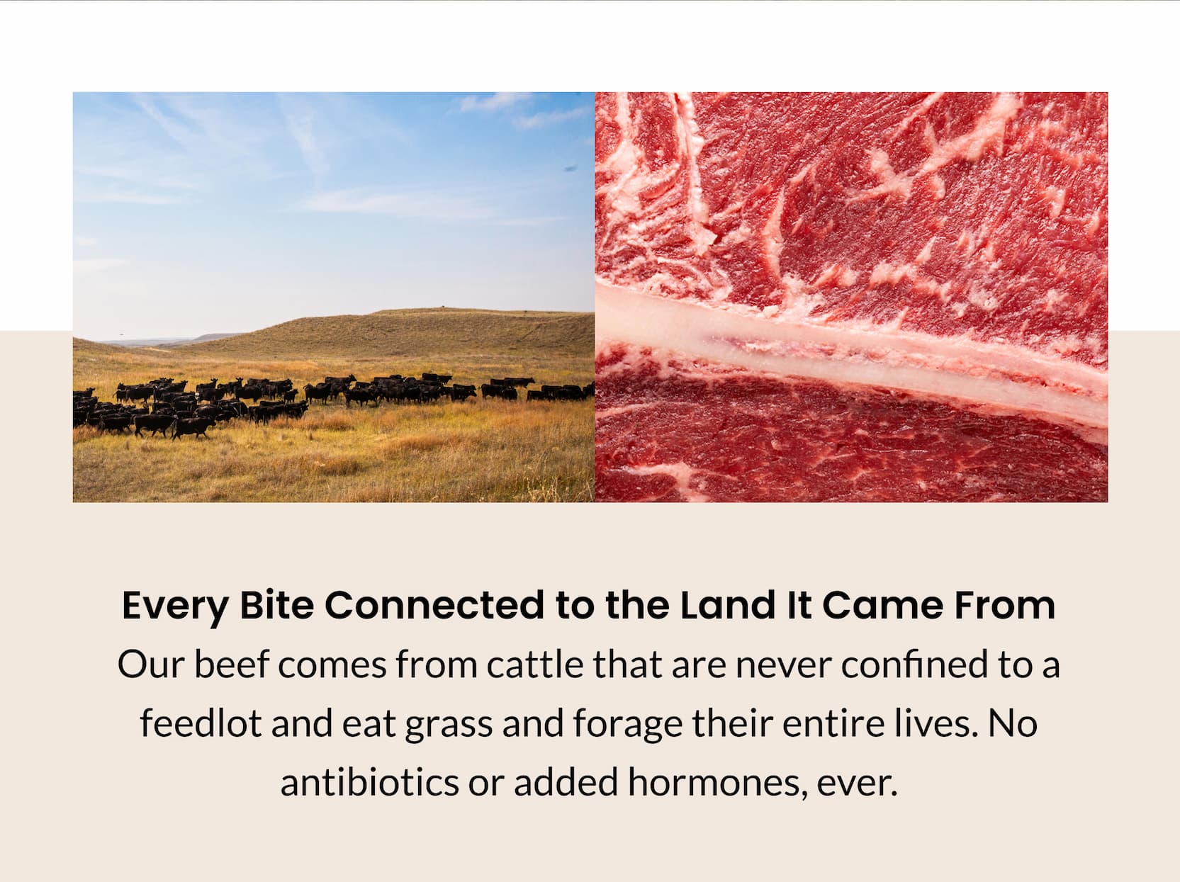 Every Bite Connected to the Land It Came From