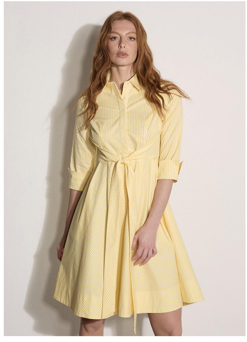 Cotton Stripe Shirt Mini Dress