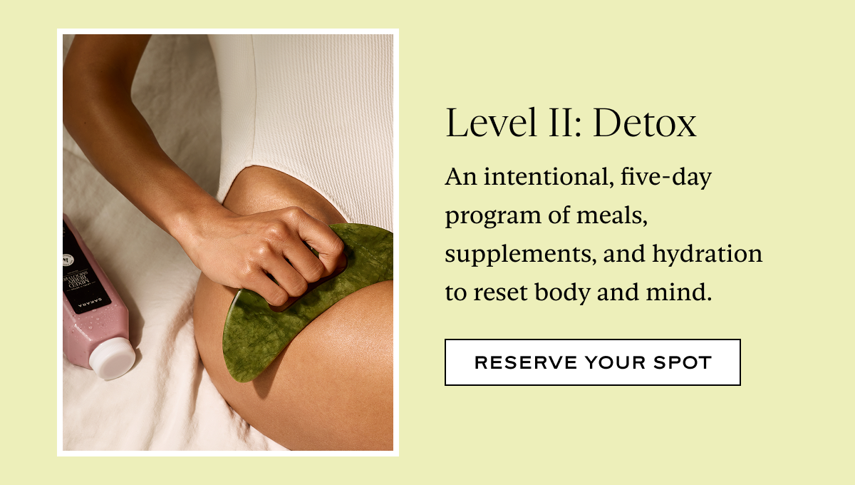 Level II: Detox: An intentional, five-day program of meals, supplements, and hydration to reset body and mind.