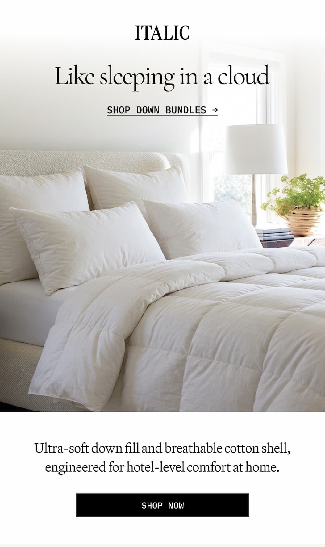 ITALIC | Like Sleeping in a cloud