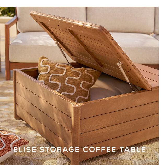 Elise Outdoor Storage Coffee Table.